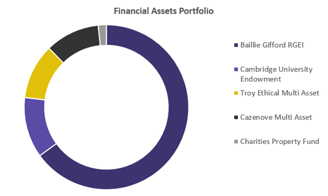 Financial Assets Portfolio Graph