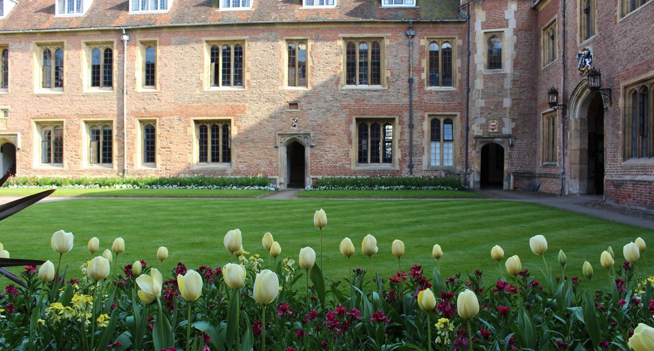 Study History and Politics at the University of Cambridge